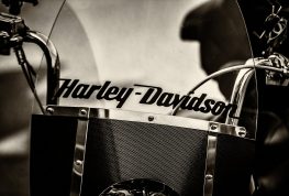 Time to Get Hog Wild! Harley’s Set to Rumble