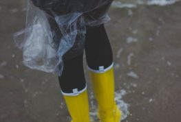 Storm System Brings Heavy Rain, Closes WI State Fair