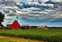 DATCP Designates New Agricultural Enterprise Areas in Sauk and Walworth Counties