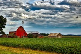 Baldwin Announces Funding for Farmers, Producers, and Rural Communities