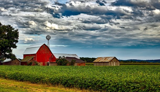 FARM INCOME DROP EXPECTED IN WI