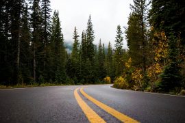 County Forest Roads Set for Funding