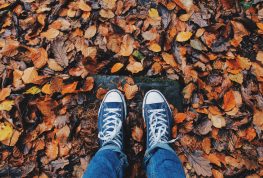 Green Waste Facility Set to Close for Season