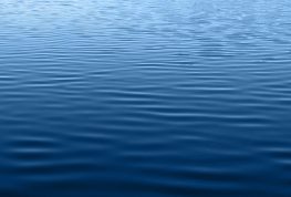 Algae Detected at Lake Altoona