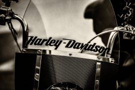 Harley Revs Up for Homecoming