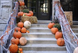 “Carving” Out Time for Fall Fun!