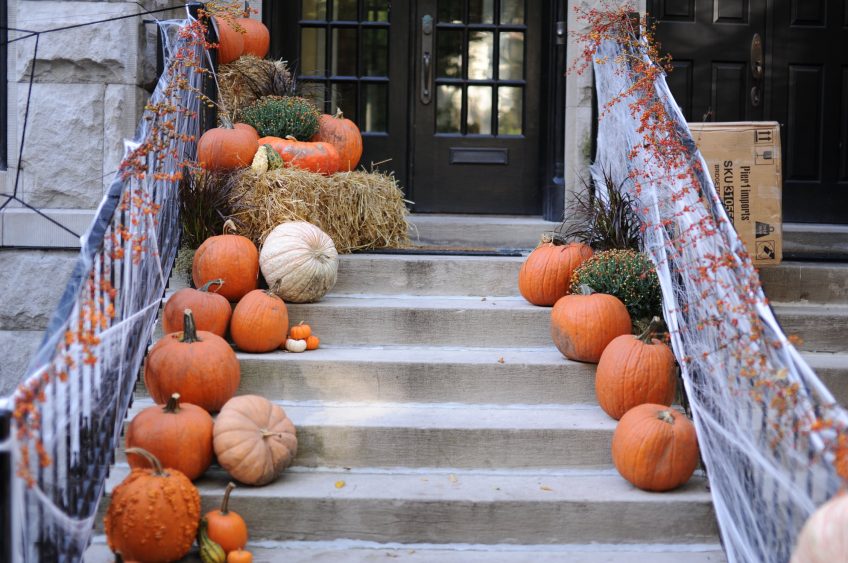 “Carving” Out Time for Fall Fun!