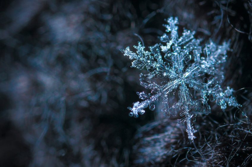 Brrr…Jack Frost is Knocking