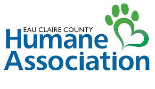 WOMAN ACCUSED OF EMBEZZLEMENT FROM HUMANE ASSOCIATION
