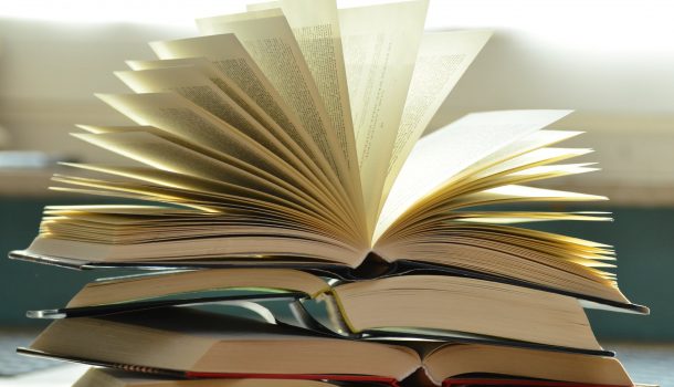 Calling All Book Lovers: CV Book Festival Turns the Page on 24 Years