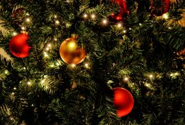 Oh, Christmas Tree…