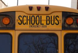 Bus Driver Faces Possible Charges