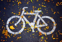 Walk the Walk! EC Seeks Pedestrian Advisory Committee Members