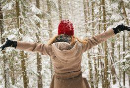 Barred Owl Back into the Wild After Rehabilitation
