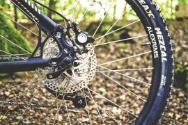 Red Flint Firecracker Mountain Bike and Trail Run Races Planned at Lowes Creek Park