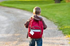 SCHOOL LUNCH ON LAWMAKERS LIST