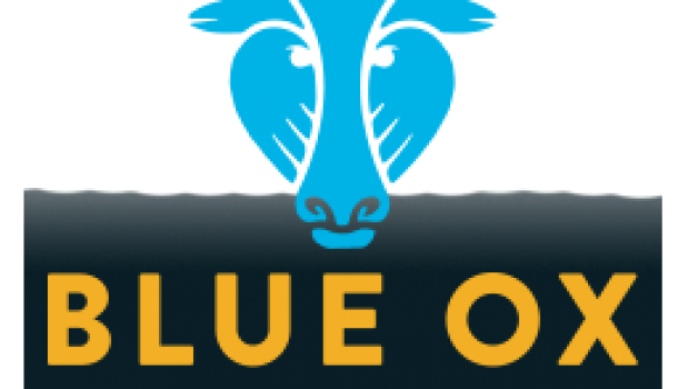 TRAFFIC CHANGES FOR BLUE OX