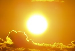 Marshfield Plans Cooling Stations