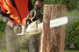 Chainsaws Rev Up For US Sculpture Championship