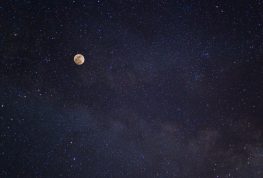 From Moooo to the Moon: Moon Launch has Dairyland Connections