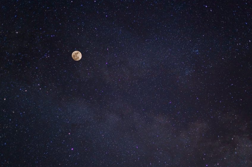 From Moooo to the Moon: Moon Launch has Dairyland Connections