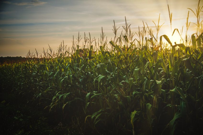 Romanski Becomes President of Midwestern Association of State Departments of Agriculture