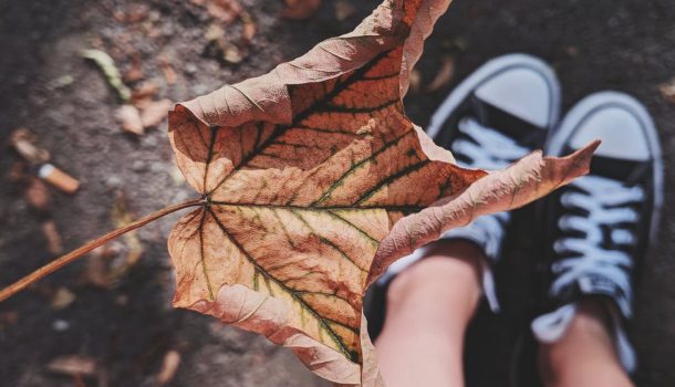 Logging, Jogging, Boo’s and Shoes!