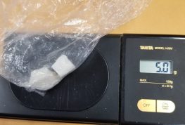 TRAFFIC STOP LEADS TO DRUG BUST IN SAWYER CO.