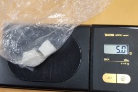 TRAFFIC STOP LEADS TO DRUG BUST IN SAWYER CO.