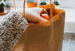 Partial Payments Planned