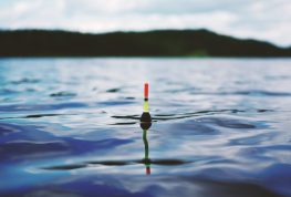 Good Luck Reeling in the Big One, Fishing Opener is Here!