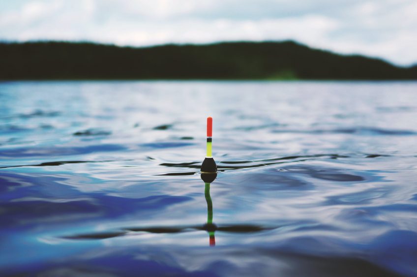 Good Luck Reeling in the Big One, Fishing Opener is Here!