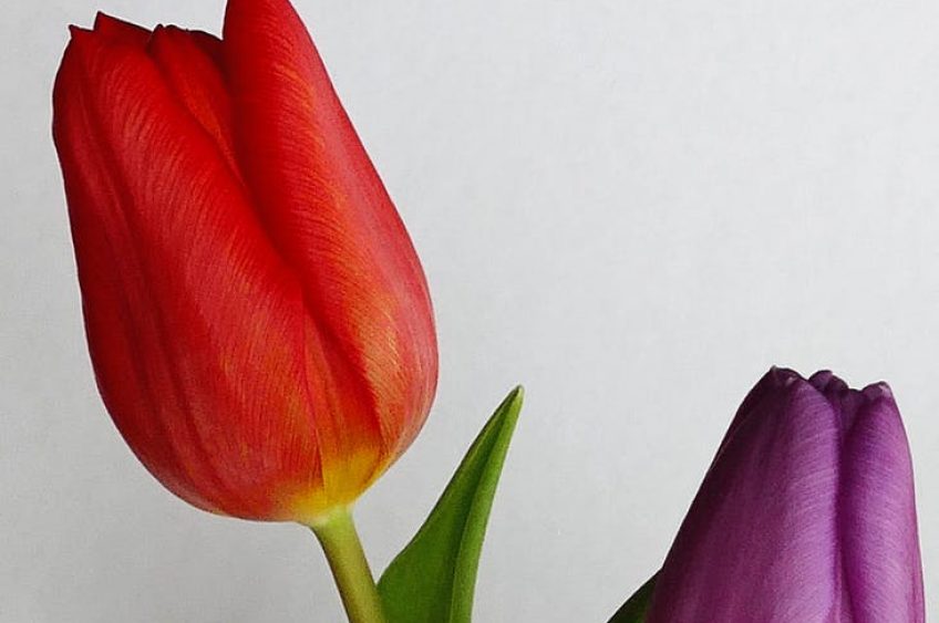 It’s Official, Spring Returns