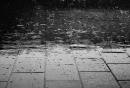 WI Rainfall Sets State Record