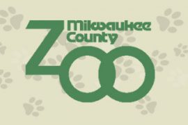 Milwaukee Zoo Welcomes Snow Angel