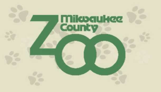 Milwaukee Zoo Welcomes Snow Angel