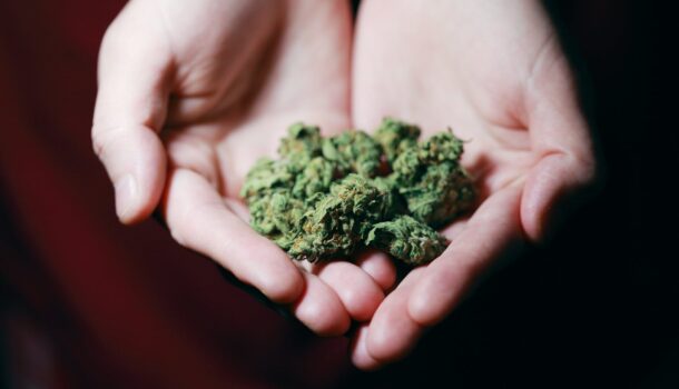 Medical Marijuana Debate Rolls On