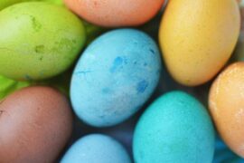 White House Easter Egg Roll Gets Scrambled