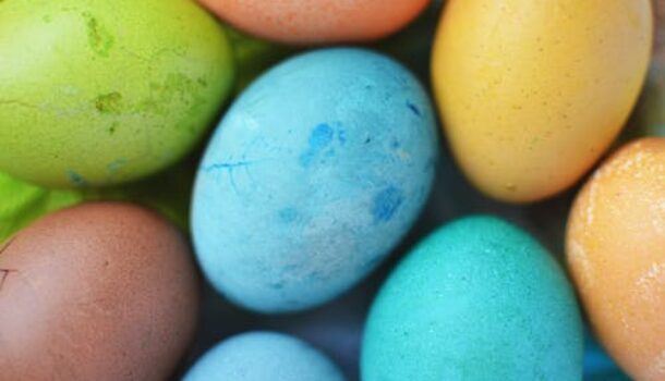 White House Easter Egg Roll Gets Scrambled