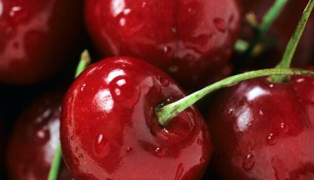 Cold Weather is the Pits for Cherries
