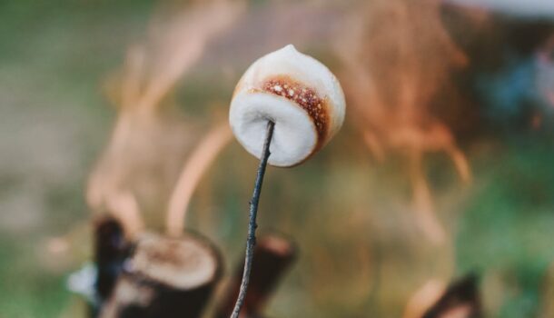 Brush Up on Your S’mores Skills!