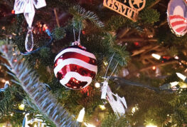 Holiday Fraud Warnings Remind Consumers of Seasonal Safety