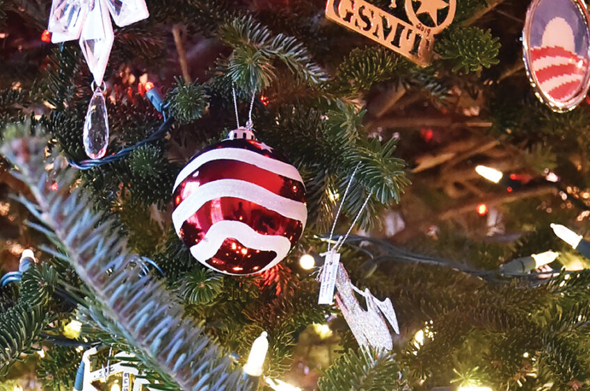 Holiday Fraud Warnings Remind Consumers of Seasonal Safety