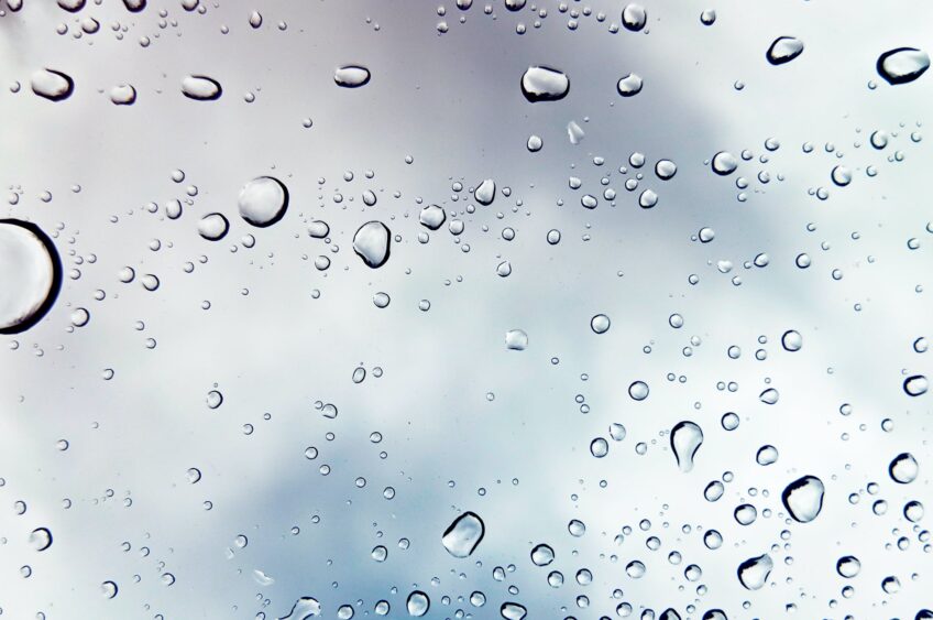 What’s Up With the Weather?