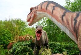 Roar! Calling All Dinosaur Lovers