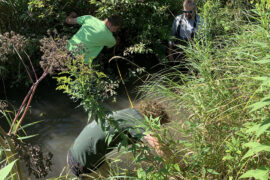 UW Stout Project Makes Splash In Local Waters