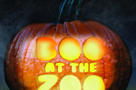 Boo At the Zoo Returns For Spooky Fun