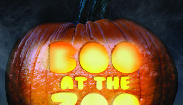 Boo At the Zoo Returns For Spooky Fun