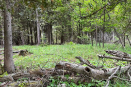 Ecologically Rare Nevins Property Donated