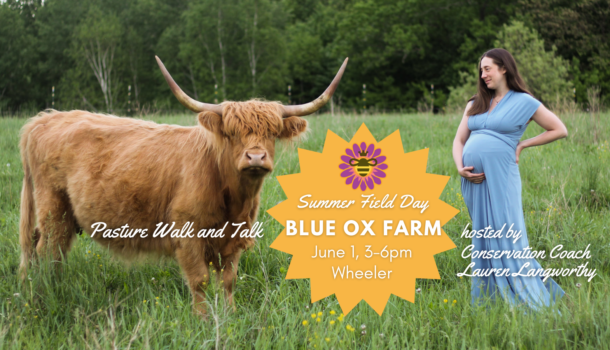 Blue Ox Farm to Host Summer Field Days
